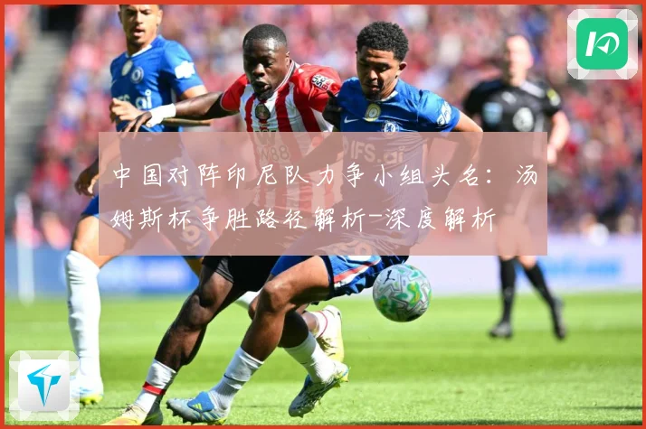 中国对阵印尼队力争小组头名：汤姆斯杯争胜路径解析-深度解析