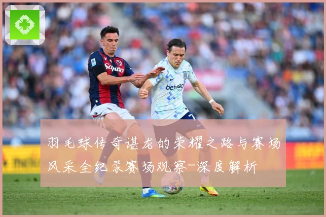 羽毛球传奇谌龙的荣耀之路与赛场风采全纪录赛场观察-深度解析