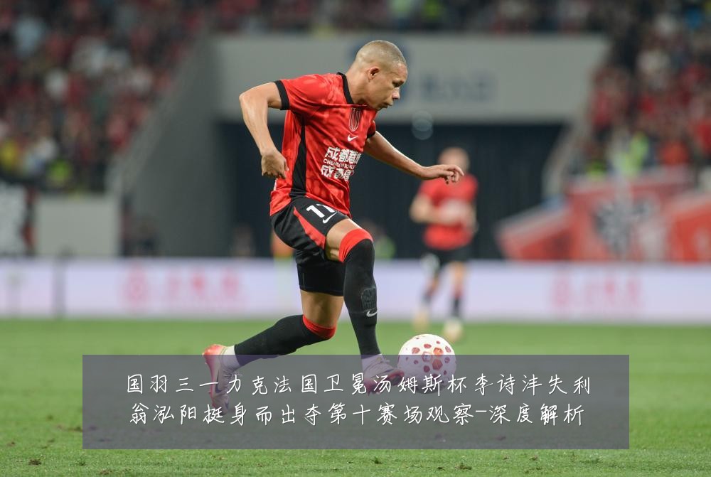 国羽三一力克法国卫冕汤姆斯杯李诗沣失利翁泓阳挺身而出夺第十赛场观察-深度解析
