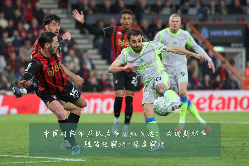 中国对阵印尼队力争小组头名:汤姆斯杯争胜路径解析-深度解析